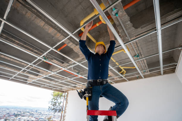 Best Residential Plumbing Services  in Lamar, TX